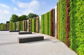 Lg Arena Birmingham Vertical Garden Vertical Green Wall Landscape Design
