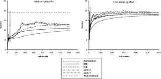 Image result for Trachyphrynium braunianum
