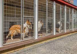 commercial 20x60 dog kennel the dog kennel collection dog kennel metal dog kennel dog kennel furniture