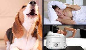5 Of The Best White Noise Machines For Dog Barking Get Relief Now
