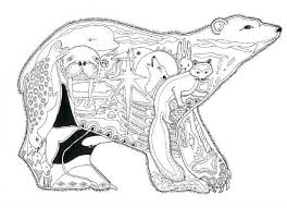 Adult coloring books teddy bear fun | includes free pdf version and color guide life escapes adult coloring books 48 grayscale coloring pages of old, new, cuddly and cute teddy bearspages are printed on one side, size 8.5x11 in. Pin On Color My World