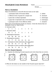 Different types of crosses so far, we have been examining the simplest type of punnett square, known as a monohybrid cross. Monohybrid Cross Worksheet Doc Template Pdffiller