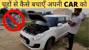 2) make your car smell bad (for rats): How To Protect Your Car From Rats In 2020 Best Way à¤š à¤¹ à¤¸ à¤• à¤¸ à¤¬à¤š Rat Repellent Car Cat Car