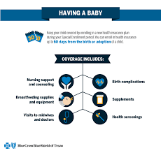 Types of health insurance plans available for h4 visa holders. Qualifying Event Baby Blue Cross And Blue Shield Of Texas