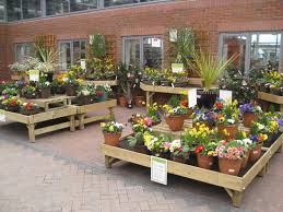 Your imagination can go wild and eccentric when it comes to air plant display ideas; Indoor Plant Displays Picture Of Haskins Garden Centre Roundstone Angmering Tripadvisor