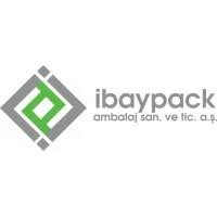 iBayad Online Ventures Inc Overview
