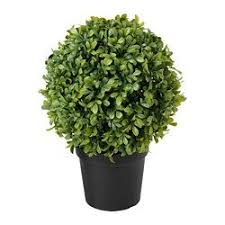 Ikea Fejka Plante Artificielle En Pot Pour Une Utilisation En Interieur Ou En Exterieur Petites Plantes En Pot Succulentes Interieur Et Plantes Artificielles