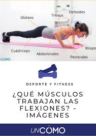 Musculos Que Trabajas Con Las Flexiones Descubrelos Flexiones Ejercicios De Entrenamiento Como Hacer Abdominales Flexiones de brazos son el ejercicio mas usado y practicado, no solo son perfectas para desarrollar los musculos del pecho, tambien ayudan para. musculos que trabajas con las flexiones