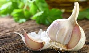 Bawang putih telah ditanam dan digunakan oleh manusia sejak beribu tahun dahulu dalam perubatan dan masakan. Bagaimana Dengan Cepat Mengupas Bawang Putih 7 Cara Untuk Mengupas Bawang Putih Dari Sekam Di Rumah Petua Memasak