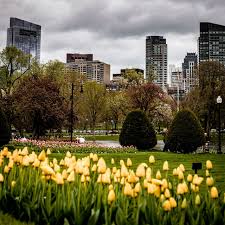 Boston Public Garden Tour Boston In Bloom Shannon Shipman Public Garden Boston Public Garden Garden Tours