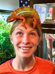 Come and explore the world of reptiles at Flag Animal Farm daily at 2:30