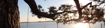 Residential and commercial tree services throughout san diego. Coastal Tree Care San Diego Ca Alignable