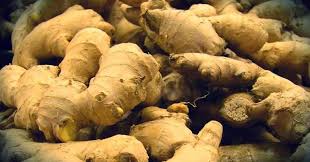 Como Cultivar Jengibre En Casa La Raiz Mas Popular De La Cocina Asiatica Gengibre Beneficios Como Cultivar Jengibre Cultivar Jengibre