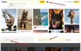 Pin On Yandex Reverse Image Search