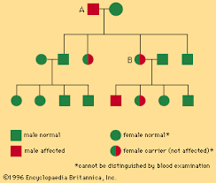 hemophilia pathology britannica