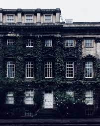 Dark Academia Botanical Dark Academia Aesthetic Slytherin Aesthetic Ravenclaw Aesthetic Dark Aesthetic Books from the banned literature section are everywhere on the chaotic academia to be read list. dark academia aesthetic