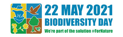 Check spelling or type a new query. International Day For Biological Diversity Greenroofs Com