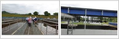 A wide variety of sewage treatment plant options are available to you, such as not available. Regional Sewage Treatment Plant Co Treatment Of Fecal Sludge At Kuala Sawah Malaysia