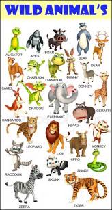 Animal Stock Pictures Royalty Free Wild Animal Chart