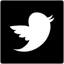 Twitter logo bird shape in a square