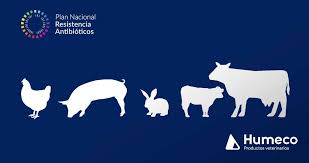 Ana luisa secunza aranguren que, tras varios años de experiencia en el sector, decidieron especializarse en cierto sector del mercado de la distribución veterinaria que, en ese momento, no quedaba cubierto con la … Que Es El Pran Y La Categorizacion De Antibioticos En Sanidad Animal