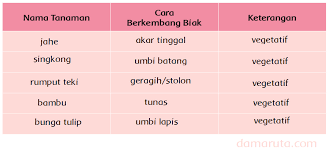 Check spelling or type a new query. Perkembangbiakan Vegetatif Halaman 34 35 Belajar Kurikulum 2013
