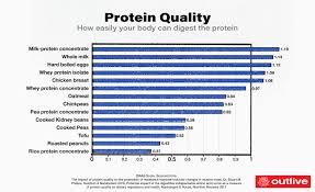 What Are The Best Plant Based Protein Sources For
