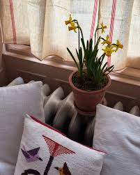 Feeling like spring! 🌼