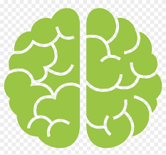 Eeg Biofeedback Human Brain Pie Chart Hd Png Download