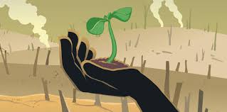 The case for climate change realism. Opinion Is Climate Change Driving You To Despair Ensia