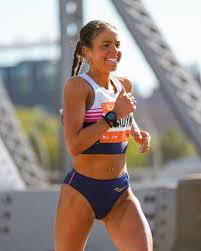 Image result for Felicia mossamedensis