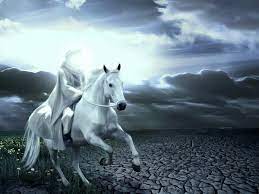 pin by islamic calendar on imam al mahdi a horses animals world