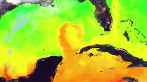 'Fascinating' Ocean Current Seen as Warm Water Flows Into Gulf of Mexico