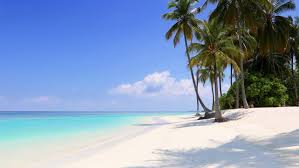 Navigate to the virtual background option on the meeting tab and verify that the setting is enabled. Zoom Virtual Background Video Ocean Novocom Top