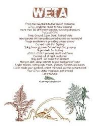 Weta Nz Insect Original Poem And Fact File Template Poems Facts Templates