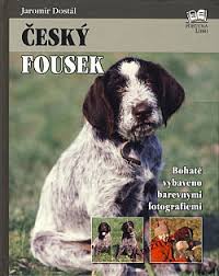 Image result for český fousek stavba těla