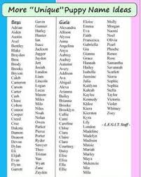 Maybe you want an identity that makes it very clear that he or she is strong and flinty, such as rambo or xena. You Can Now Pay A Company 32 000 To Give Your Baby A Unique Name Puppy Names Unique Girl Dog Names Puppy Names