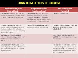 Revision Year 11 Short Term Effects Of Exercise On The Cardiovascular System Respiratory System And Muscles Muscles And Movement Ppt Download