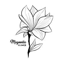 Magnolia Flower Outline Stock Illustrations 1 763 Magnolia Flower Outline Stock Illustrations Vectors Clipart Dreamstime 2,096 transparent png illustrations and cipart matching magnolia. magnolia flower outline stock