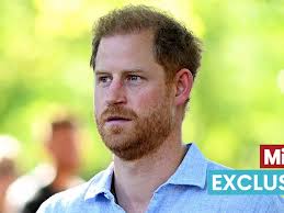 Prince Harry 'definitely out' of succession plans but 'still doesn't get'  his exclusion
