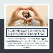 Emotional Support Animal Laws California Emotional Support Animal Emotional Support Emotions