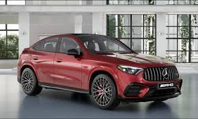 Image result for Hyacinth Red 2016 GL