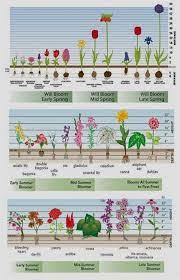 Garden Parasols For Sale Container Gardening Ideas Proven Winners Hydrangea Chart Gardening Elephant Drawing Easy For Ki Plants Garden Bulbs Garden Planning