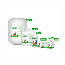 Image result for Aloe canis