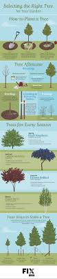 2 To The 1 To The 1 To The 3 I Like Good Trees Selecting The Right Tree For Your Garden Trees To Plant Landscaping Trees Landscape Trees