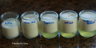 Yaourt de Kéfir Etude comparative.