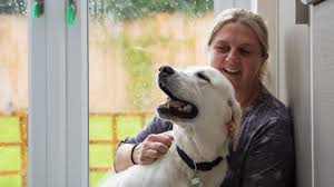 While i was staring at the monument, someone stole my phone. How To Protect Your Dog From Theft Advice From Dogs For Good Dogs For Good