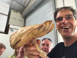 There is Fungus Among Us