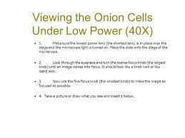 At 1000x magnification you will be able to see 0.180mm, or 180 microns. Using A Microscope To View Cells Ppt Video Online Download