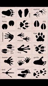 Alam, outdoor, berjalan, bunga, tapak, langkah, kaki, anjing, hewan, musim panas, margasatwa, perjalanan, mencetak, kotoran, lumpur, coklat, tanah. Shazrul Zafri On Twitter Ni Gambar Kenalpasti Tapak Kaki Binatang Untuk Langkah Berjaga Jaga Sila Ambik Perhatian Ye Kakipancing Http T Co Hk9saa7kvp